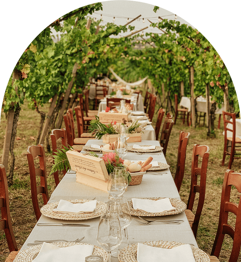 evento aziendale all’aperto in cantina tra i vigneti